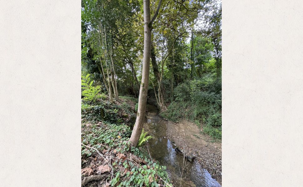 Charmant Moulin Datant du 19ème Siècle, Doté d'Une Piscine, Dans Un Cadre de Paix