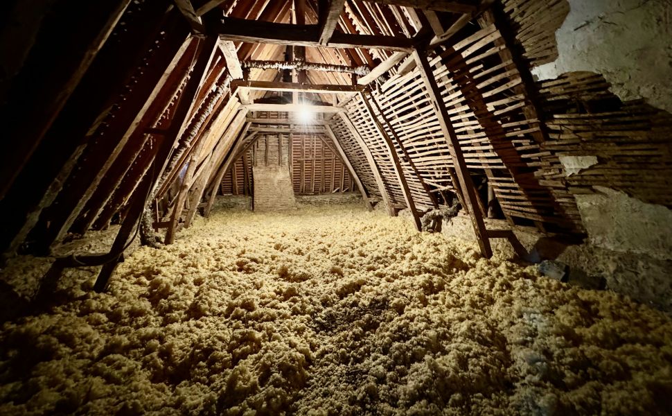 Une Maison de Maître singulière offrant une opportunité de restauration exceptionnelle !