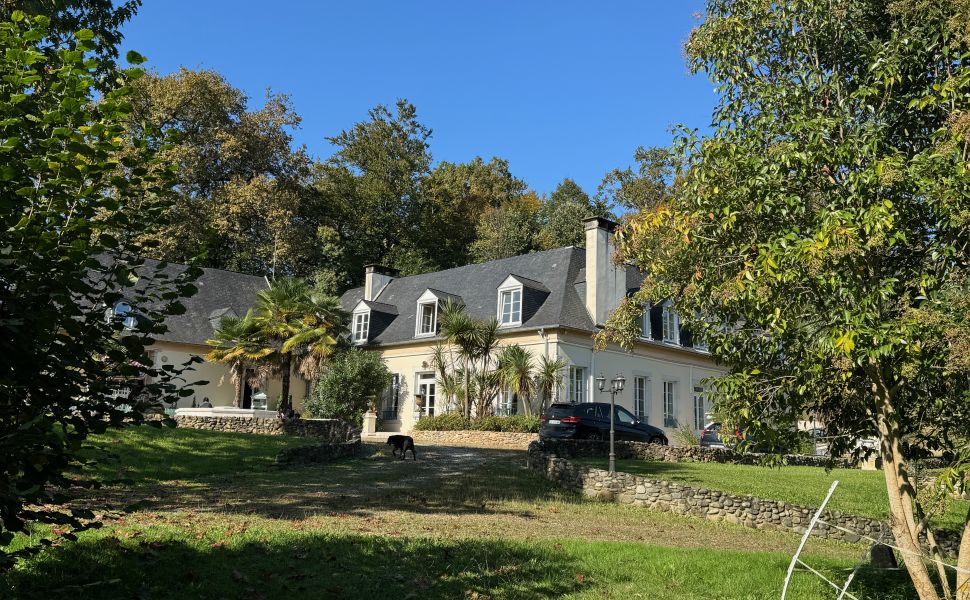  Magnifique maison de maître avec possibilité d'activité commerciale