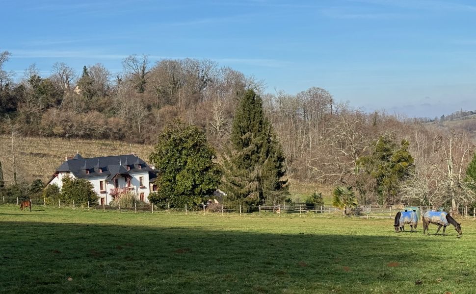 Propriété Equestre près de Pau avec 11 Ecuries, 15 ha, Paddocks et Petit Vignoble