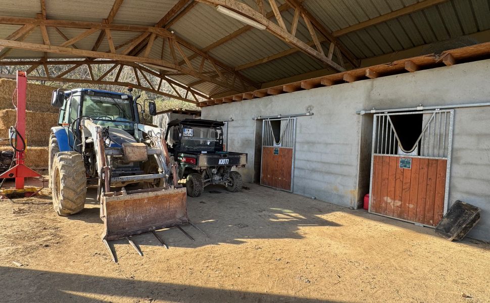 Propriété Equestre près de Pau avec 11 Ecuries, 15 ha, Paddocks et Petit Vignoble