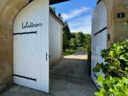 Joli Clos Béarnais Avec Dépendances Et 3,6 HA De Terrain