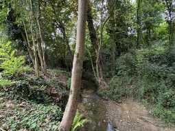 Picturesque 19th Century Watermill In Private Grounds With Swimming Pool