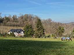 Propriété Equestre près de Pau avec 11 Ecuries, 15 ha, Paddocks et Petit Vignoble