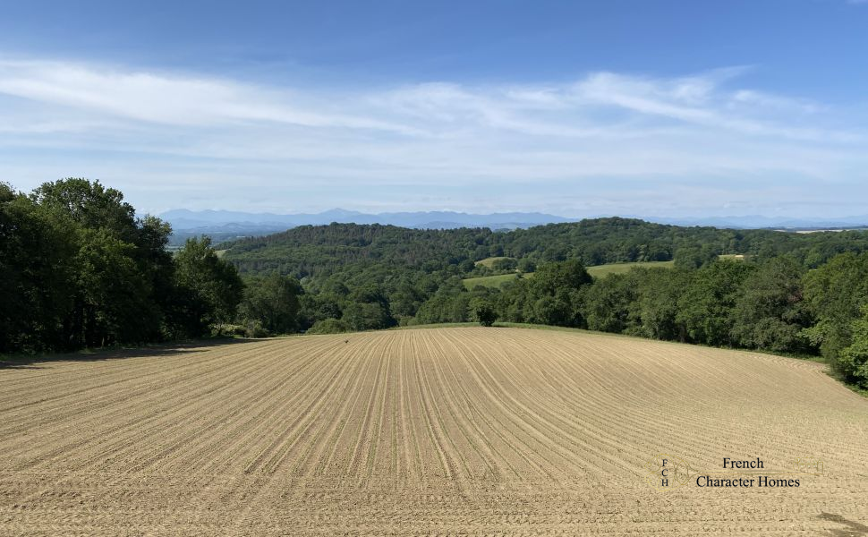 Magnificent 18C Ensemble Bearnaise With Pool, Terrasse And Majestic Mountain Views In 3.2 Hectares