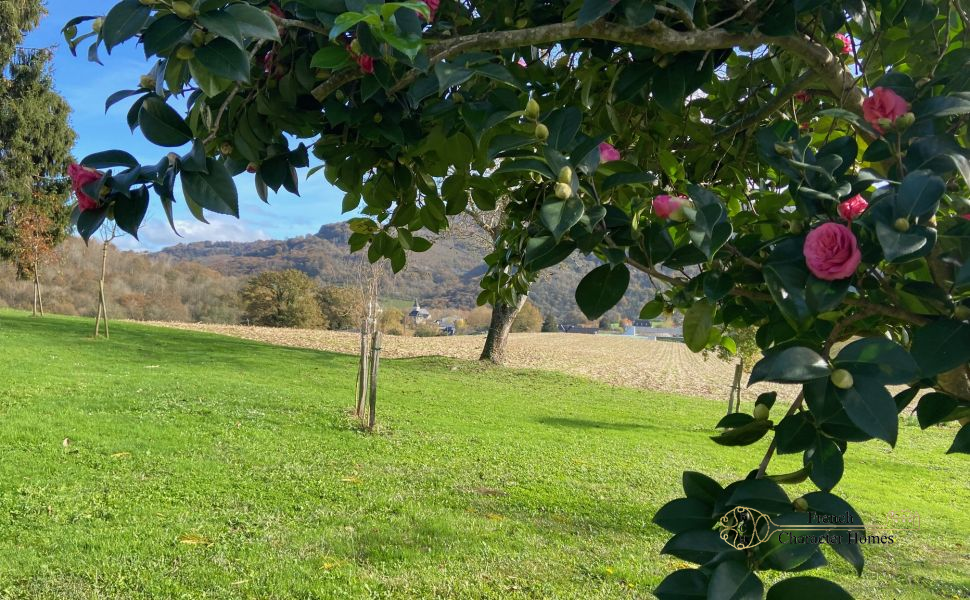 Lovely Renovated Village Property in Area of Natural Beauty with Pyrenean Views