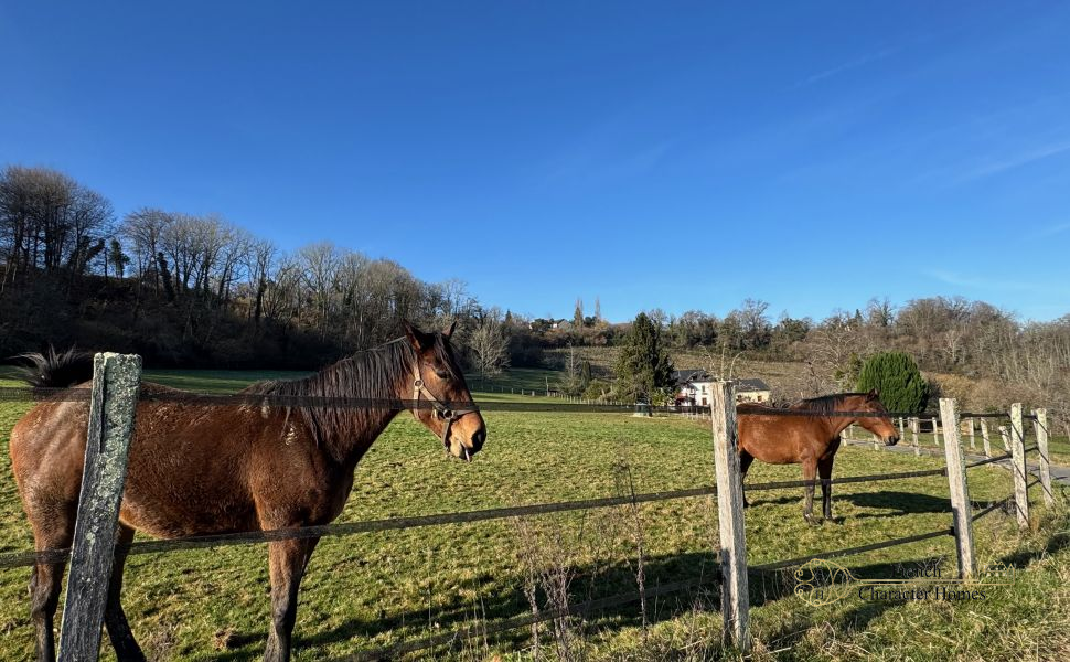 Equestrian Property near Pau with 11 Stables,15 HA (37 acres), Paddocks & Small Vineyard