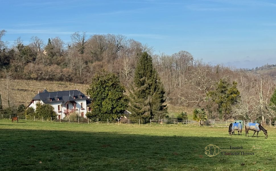 Equestrian Property near Pau with 11 Stables,15 HA (37 acres), Paddocks & Small Vineyard